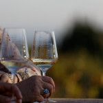 O'Vineyards Carcassonne enjoying a wine tasting